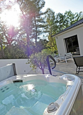 Villa-jacuzzi-1chb-jardin-10minsAixEnPce-QuartierChic